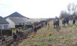 Plantations Cavalier   044